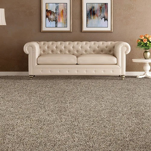 Martin's Floor Coverings Inc. providing stain-resistant pet proof carpet in Myerstown, PA