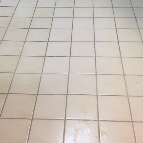 Martins Floor Covering Inc - Ceramic Tile And Grout Cleaning, Before Image| Myerstown, PA