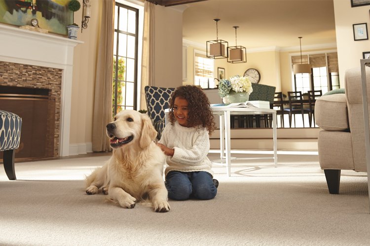 Young girl sitting on a carpeted living room floor with a dog
