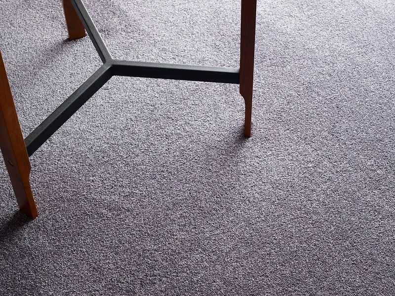 Canvas comfort - Anso Colorwall Carpet in Myerstown, PA