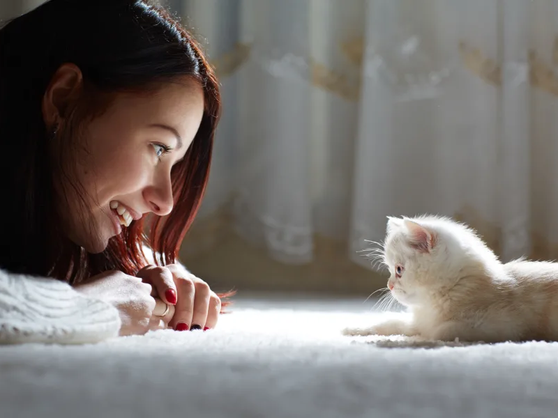 Girl sitting on carpet with kitten